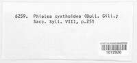 Cyathicula cyathoidea image